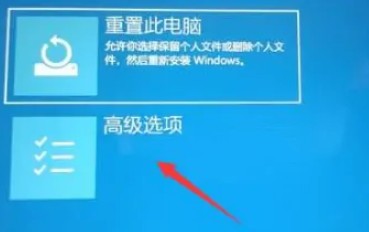 2-高級選項